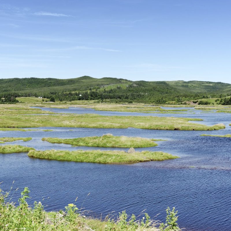 aaa