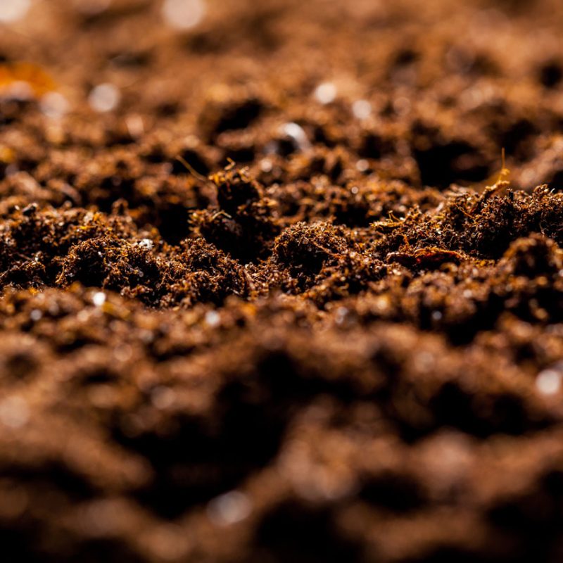 The texture of the macro ground
