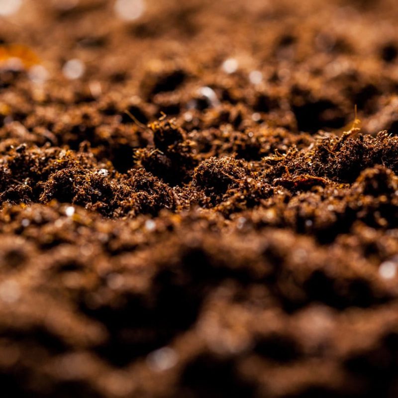 The texture of the macro ground
