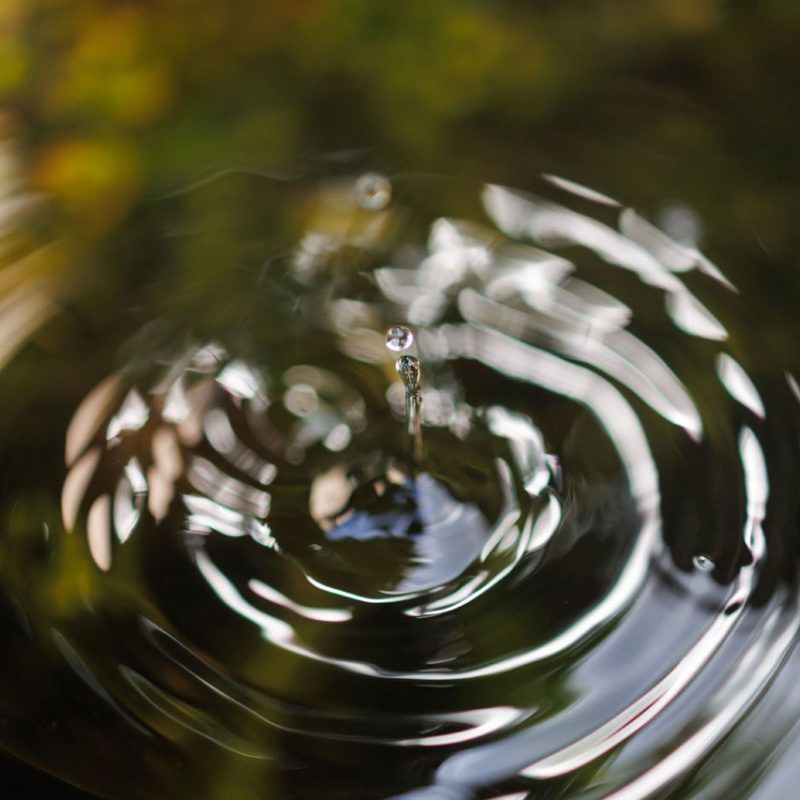 A water drop splashing in a pond surface