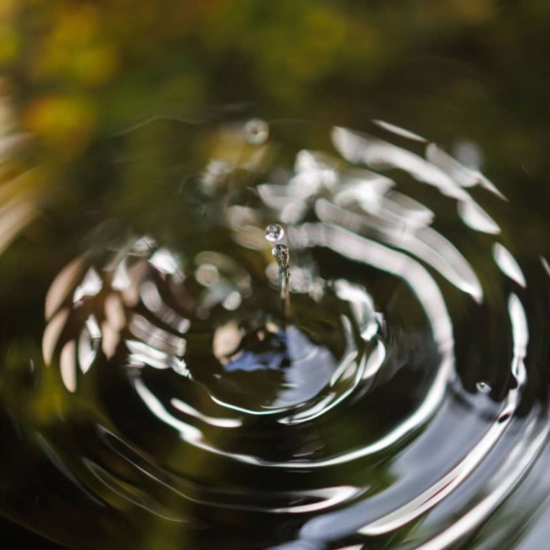 A water drop splashing in a pond surface